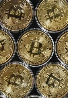 Người mua Bitcoin lãi 40% năm 2024