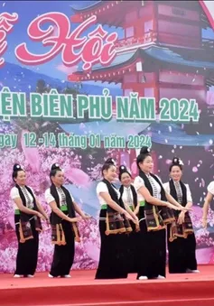 Sắp diễn ra Lễ hội hoa anh đào - Điện Biên Phủ 2025