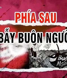 Phía sau "bẫy buôn người"