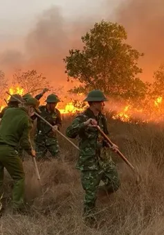 Hàng trăm người tham gia chữa cháy rừng tại Tân Thanh, Lạng Sơn
