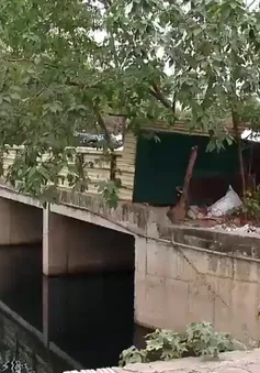Hà Nội: Sông Cầu Bây hơn 10 năm ô nhiễm nặng bốc mùi hôi thối