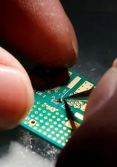 EU và Trung Quốc lo Mỹ hạn chế xuất khẩu chip