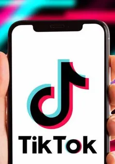 TikTok trấn an nhân viên trước thời hạn cấm