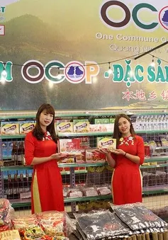 Sức mua hàng hóa dịp Tết Nguyên đán 2025 có thể tăng trên 10%