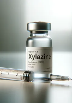 Anh cấm sử dụng thuốc an thần xylazine