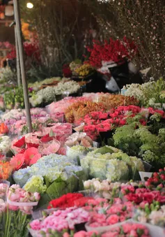 Hoa Tết rộn ràng xuống phố