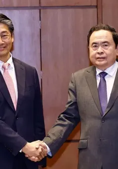 Chủ tịch Quốc hội Trần Thanh Mẫn tiếp Đại sứ Nhật Bản Ito Naoki