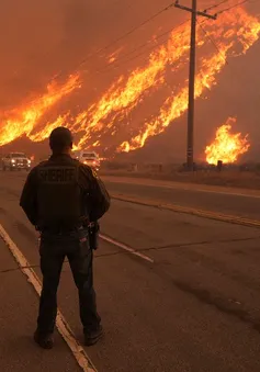 Bùng phát đám cháy rừng nghiêm trọng mới tại Los Angeles, 39.000 người phải sơ tán