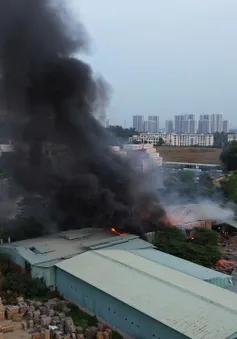 Cháy lớn tại một xưởng gỗ rộng hàng trăm mét vuông tại TP Hồ Chí Minh