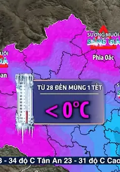 Miền Bắc rét trong Tết các năm Tỵ