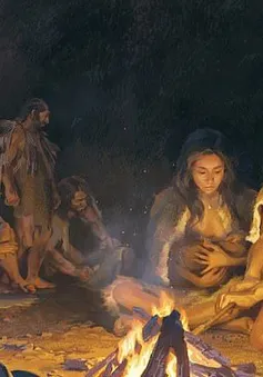 Hé lộ khuôn mặt của tổ tiên loài người chưa từng được biết đến