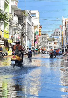 Cà Mau: Chủ động theo dõi, ứng phó thiên tai trong dịp Tết Nguyên đán