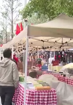 Xuân về trên Phố sách Hà Nội