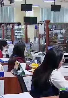 Các công sở làm việc nghiêm túc sau kỳ nghỉ Tết