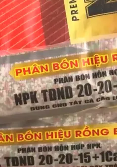 Hệ lụy từ phân bón giả, kém chất lượng