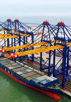 Cảng biển nước sâu hiện đại nhất Việt Nam chào đón chuyến tàu container đầu tiên