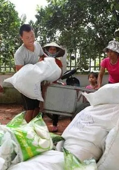 Đắk Nông chỉ đạo cấp phát gạo hỗ trợ giáp hạt đúng đối tượng, chất lượng