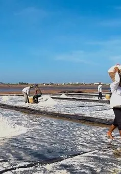 Bạc Liêu sẵn sàng cho Festival nghề Muối Việt Nam