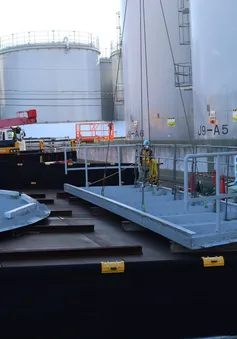 IAEA kiểm tra mẫu đất tại Fukushima