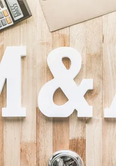 Thị trường M&A năm 2025: Sẽ có nhiều thương vụ "khủng"?