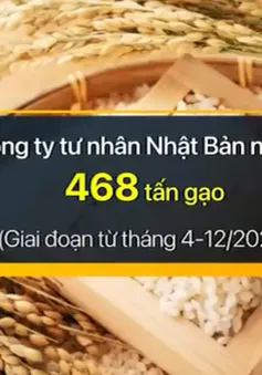 Giá gạo tại Nhật Bản dự báo sẽ duy trì ở mức cao