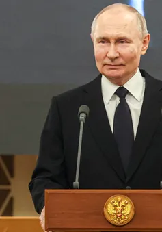 Tỷ lệ ủng hộ Tổng thống Putin trong cuộc thăm dò mới nhất