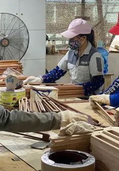 Mỹ chuẩn bị đánh thuế gỗ, doanh nghiệp Việt tính kế ứng phó
