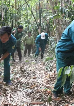 Vườn quốc gia Bù Gia Mập chủ động phòng, chống cháy rừng