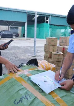 Thanh Hóa: Lô hàng 'khủng' không rõ chủ, khẩn trương truy tìm