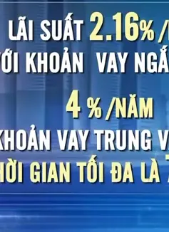 Thận trọng với lời mời vay vốn giá rẻ