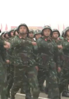 Quân khu 5 ra quân huấn luyện năm 2025