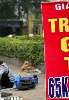 Giá trứng giảm mạnh