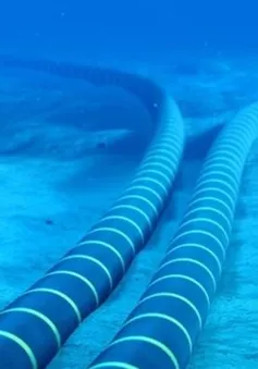 Sự cố cáp quang biển sẽ được khắc phục hoàn toàn trong tháng 4
