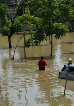 Lũ lụt nghiêm trọng tại Jakarta (Indonesia), nhiều người phải sơ tán