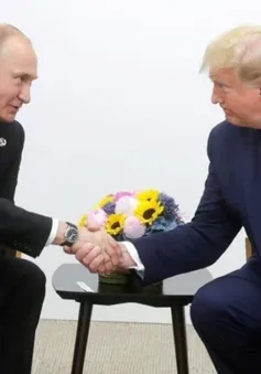 Điện Kremlin tiết lộ khả năng Tổng thống Nga - Mỹ điện đàm