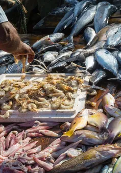 Bí mật đằng sau các món ăn hải sản