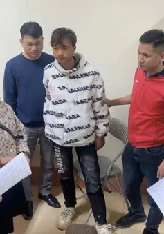 Bắt giữ thành công bị can trong nhóm trộm cắp tài sản liên tỉnh