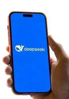 Dùng Deepseek đầu tư chứng khoán