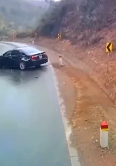 Xe con vượt ẩu bị xe tải đâm xoay ngang đường