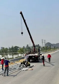 Rút ngắn thời gian thi công cao tốc Ninh Bình - Hải Phòng xuống còn 3 năm