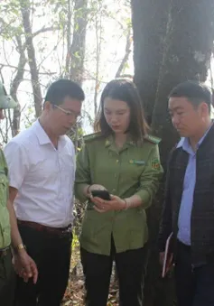 "Báo động đỏ" nguy cơ cháy rừng mùa khô tại Thuận Châu (Sơn La)