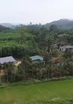 Nhiều cách làm mới trong xóa nhà tạm, nhà dột nát