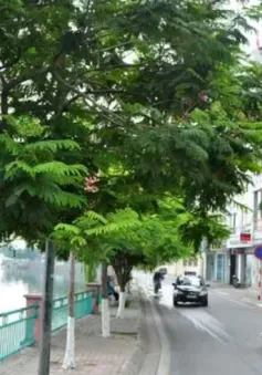 Mở rộng các tuyến đường xung quanh hồ Tây, quận Tây Hồ