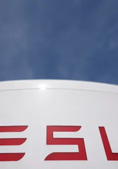 Đâm xe vào người biểu tình bên ngoài đại lý Tesla ở Florida, Mỹ