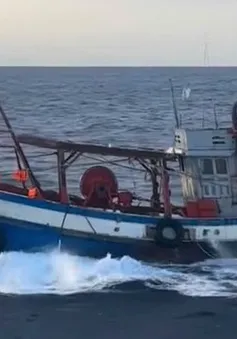 Khởi tố vụ án đưa người xuất cảnh trái phép bằng tàu cá