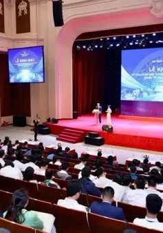 Công bố kết quả Kỳ thi chọn đội tuyển quốc gia dự thi Olympic quốc tế và khu vực 2025