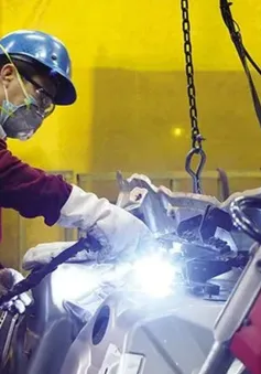Doanh nghiệp, chuyên gia đánh giá cao phản ứng chính sách của Việt Nam