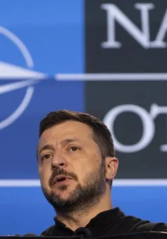 Tổng thống Zelensky phản bác Tổng thống Trump về tư cách thành viên NATO