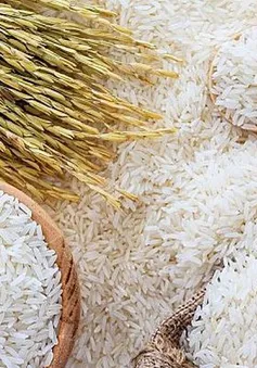 Giá gạo xuất khẩu tăng trở lại