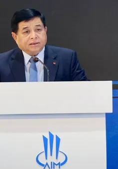 Chính phủ Việt Nam luôn tạo điều kiện thuận lợi để hợp tác đầu tư hiệu quả và bền vững